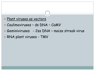  Plant viruses as vectors
 Caulimoviruses – ds DNA – CaMV
 Geminiviruses - 2ss DNA – maize streak virus
 RNA plant viruses - TMV
 
