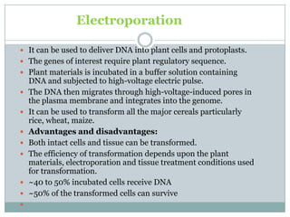 Electroporation
 It can be used to deliver DNA into plant cells and protoplasts.
 The genes of interest require plant regulatory sequence.
 Plant materials is incubated in a buffer solution containing
DNA and subjected to high-voltage electric pulse.
 The DNA then migrates through high-voltage-induced pores in
the plasma membrane and integrates into the genome.
 It can be used to transform all the major cereals particularly
rice, wheat, maize.
 Advantages and disadvantages:
 Both intact cells and tissue can be transformed.
 The efficiency of transformation depends upon the plant
materials, electroporation and tissue treatment conditions used
for transformation.
 ~40 to 50% incubated cells receive DNA
 ~50% of the transformed cells can survive

 