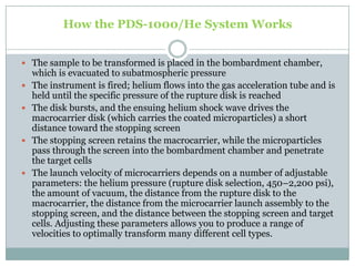 How the PDS-1000/He System Works
 The sample to be transformed is placed in the bombardment chamber,
which is evacuated to subatmospheric pressure
 The instrument is fired; helium flows into the gas acceleration tube and is
held until the specific pressure of the rupture disk is reached
 The disk bursts, and the ensuing helium shock wave drives the
macrocarrier disk (which carries the coated microparticles) a short
distance toward the stopping screen
 The stopping screen retains the macrocarrier, while the microparticles
pass through the screen into the bombardment chamber and penetrate
the target cells
 The launch velocity of microcarriers depends on a number of adjustable
parameters: the helium pressure (rupture disk selection, 450–2,200 psi),
the amount of vacuum, the distance from the rupture disk to the
macrocarrier, the distance from the microcarrier launch assembly to the
stopping screen, and the distance between the stopping screen and target
cells. Adjusting these parameters allows you to produce a range of
velocities to optimally transform many different cell types.
 