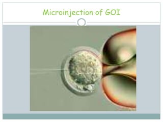 Microinjection of GOI
 