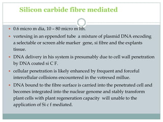 Silicon carbide fibre mediated
 0.6 micro m dia, 10 – 80 micro m lth.
 vortexing in an eppendorf tube a mixture of plasmid DNA encoding
a selectable or screen able marker gene, si fibre and the explants
tissue.
 DNA delivery in his system is presumably due to cell wall penetration
by DNA coated si C F.
 cellular penetration is likely enhanced by frequent and forceful
intercellular collisions encountered in the votrexed millue.
 DNA bound to the fibre surface is carried into the penetrated cell and
becomes integrated into the nuclear genome and stably transform
plant cells with plant regeneration capacity will unable to the
application of Si c f mediated.
 