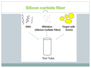 Silicon carbide fiber
 