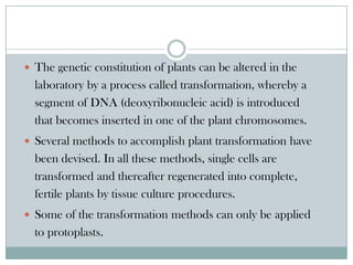 The genetic constitution of plants can be altered in the
laboratory by a process called transformation, whereby a
segment of DNA (deoxyribonucleic acid) is introduced
that becomes inserted in one of the plant chromosomes.
 Several methods to accomplish plant transformation have
been devised. In all these methods, single cells are
transformed and thereafter regenerated into complete,
fertile plants by tissue culture procedures.
 Some of the transformation methods can only be applied
to protoplasts.
 