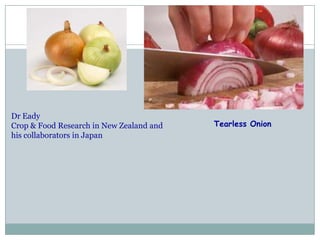 Dr Eady
Crop & Food Research in New Zealand and
his collaborators in Japan
Tearless Onion
 