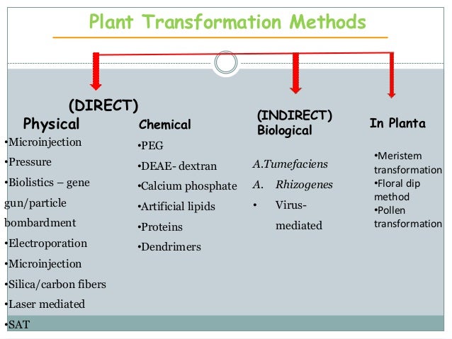 book space and terrestrial biotechnology