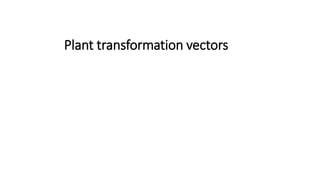 Plant transformation vectors
 