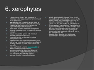 6. xerophytes
   Desert plants have a real challenge to               Water is transported from the roots to the
    minimize water loss, since their environment          leaves through a vein structure known as the
    is so hot and dry.                                    Xylem. Water and minerals are 'sucked up'
   Xerophytes live in deserts where water is             as water evaporates from the leaves of
    scarce and evaporation is rapid, or in windy          plants in a process known as Transpiration.
    habitats where evaporation can also be               The process of transpiration- Transpiration is
    rapid. Their typical features are:                    a process of emission of water from the plant
   deep roots to reach water far underground             with the help of small openings known as
   shallow spreading roots to collect occasional         stomata. Stomata are small openings or
    rainfall                                              pores which are present in the aerial part of
                                                          the plants like in the
   leaves reduced to spines with minimum                 leaves, stem, flowers, etc. But leaves
    surface area for transpiration                        constitute the major portion of stomata.
   reduced number of stomata to reduce
    transpiration rate
   rolled leaves, leaf hairs and stomata sunk in
    pits to trap moist air, increasing humidity and
    slowing diffusion of water vapour from the
    stomata
   waxy leaf cuticle which is impermeable to
    water (preventing evaporation)
   stomata opening at night and closed at
    midday when evaporation rate would be
    highest (reversed stomatal rhythm).
   storage of water in succulent tissues
 