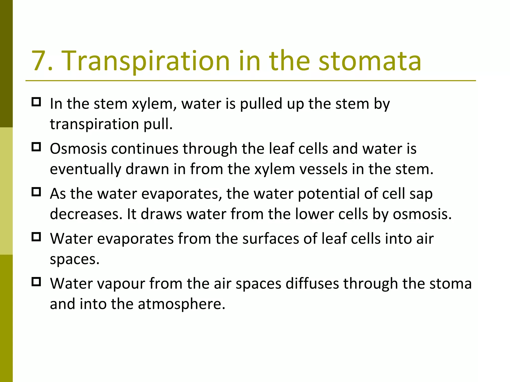 Plant Transport | PPT