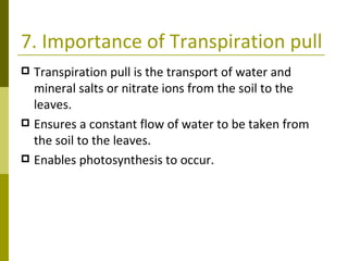 7. Importance of Transpiration pull Transpiration pull is the transport of water and mineral salts or nitrate ions from the soil to the leaves. Ensures a constant flow of water to be taken from the soil to the leaves. Enables photosynthesis to occur. 