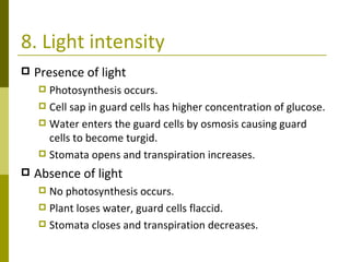 8. Light intensity Presence of light   Photosynthesis occurs. Cell sap in guard cells has higher concentration of glucose. Water enters the guard cells by osmosis causing guard cells to become turgid. Stomata opens and transpiration increases. Absence of light No photosynthesis occurs. Plant loses water, guard cells flaccid. Stomata closes and transpiration decreases. 