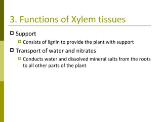 3. Functions of Xylem tissues Support Consists of lignin to provide the plant with support Transport of water and nitrates Conducts water and dissolved mineral salts from the roots to all other parts of the plant 