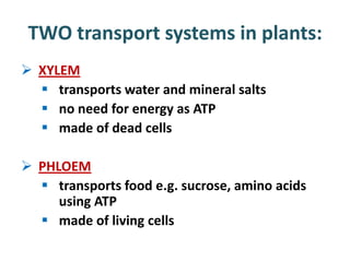 TWO transport systems in plants:
 XYLEM
   transports water and mineral salts
   no need for energy as ATP
   made of dead cells

 PHLOEM
   transports food e.g. sucrose, amino acids
     using ATP
   made of living cells
 