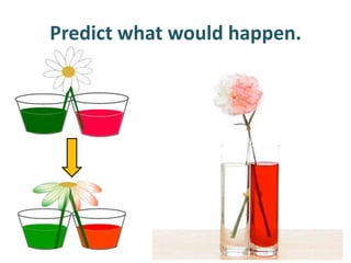 Predict what would happen.
 