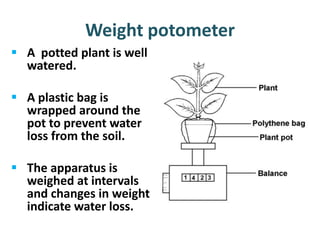 Weight potometer
 A potted plant is well
  watered.

 A plastic bag is
  wrapped around the
  pot to prevent water
  loss from the soil.

 The apparatus is
  weighed at intervals
  and changes in weight
  indicate water loss.
 