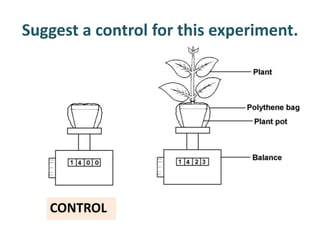 Suggest a control for this experiment.




   CONTROL
 