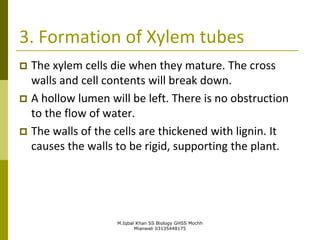 M.Iqbal Khan SS Biology GHSS Mochh
Mianwali 03135448175
3. Formation of Xylem tubes
 The xylem cells die when they mature. The cross
walls and cell contents will break down.
 A hollow lumen will be left. There is no obstruction
to the flow of water.
 The walls of the cells are thickened with lignin. It
causes the walls to be rigid, supporting the plant.
 