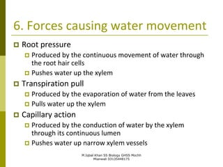 M.Iqbal Khan SS Biology GHSS Mochh
Mianwali 03135448175
6. Forces causing water movement
 Root pressure
 Produced by the continuous movement of water through
the root hair cells
 Pushes water up the xylem
 Transpiration pull
 Produced by the evaporation of water from the leaves
 Pulls water up the xylem
 Capillary action
 Produced by the conduction of water by the xylem
through its continuous lumen
 Pushes water up narrow xylem vessels
 