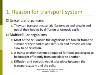 M.Iqbal Khan SS Biology GHSS Mochh
Mianwali 03135448175
1. Reason for transport system
 Unicellular organisms
 They can transport materials like oxygen and urea in and
out of their bodies by diffusion or osmosis easily.
 Multicellular organisms
 Most of the cells inside the organisms are too far from the
surface of their bodies and diffusion and osmosis are too
slow to be relied on.
 A transportation system is required for food and oxygen to
be brought efficiently from one place to another.
 Diffusion and osmosis would take place between the
transport system and the cells.
 