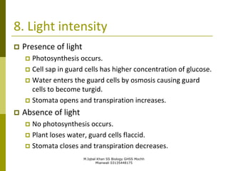 M.Iqbal Khan SS Biology GHSS Mochh
Mianwali 03135448175
8. Light intensity
 Presence of light
 Photosynthesis occurs.
 Cell sap in guard cells has higher concentration of glucose.
 Water enters the guard cells by osmosis causing guard
cells to become turgid.
 Stomata opens and transpiration increases.
 Absence of light
 No photosynthesis occurs.
 Plant loses water, guard cells flaccid.
 Stomata closes and transpiration decreases.
 