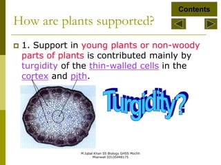 M.Iqbal Khan SS Biology GHSS Mochh
Mianwali 03135448175
How are plants supported?
 1. Support in young plants or non-woody
parts of plants is contributed mainly by
turgidity of the thin-walled cells in the
cortex and pith.
Contents
 