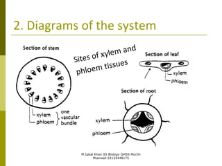 M.Iqbal Khan SS Biology GHSS Mochh
Mianwali 03135448175
2. Diagrams of the system
 