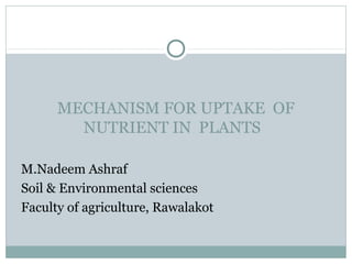 MECHANISM FOR UPTAKE OF
        NUTRIENT IN PLANTS

M.Nadeem Ashraf
Soil & Environmental sciences
Faculty of agriculture, Rawalakot
 