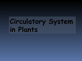 Circulatory System in Plants 