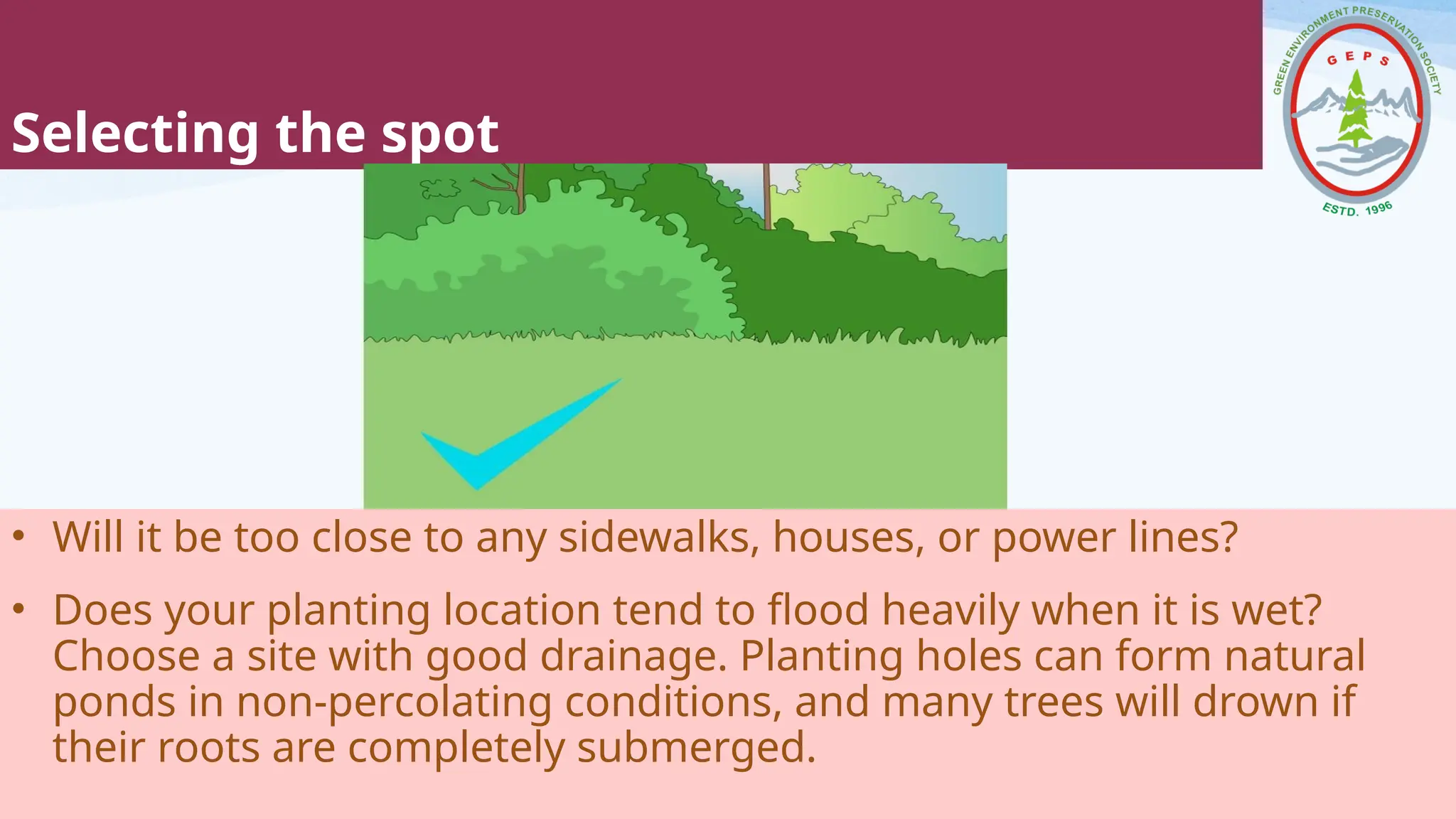 Selecting the spot
• Will it be too close to any sidewalks, houses, or power lines?
• Does your planting location tend to flood heavily when it is wet?
Choose a site with good drainage. Planting holes can form natural
ponds in non-percolating conditions, and many trees will drown if
their roots are completely submerged.
 