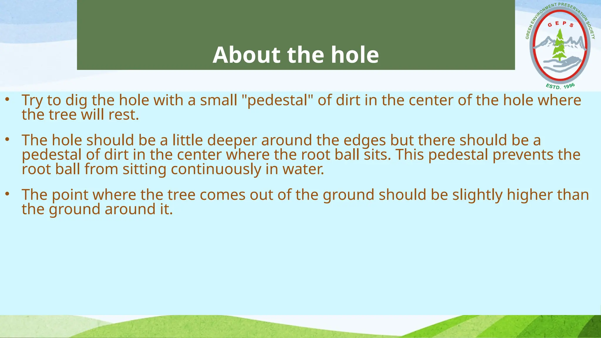 About the hole
• Try to dig the hole with a small "pedestal" of dirt in the center of the hole where
the tree will rest.
• The hole should be a little deeper around the edges but there should be a
pedestal of dirt in the center where the root ball sits. This pedestal prevents the
root ball from sitting continuously in water.
• The point where the tree comes out of the ground should be slightly higher than
the ground around it.
 