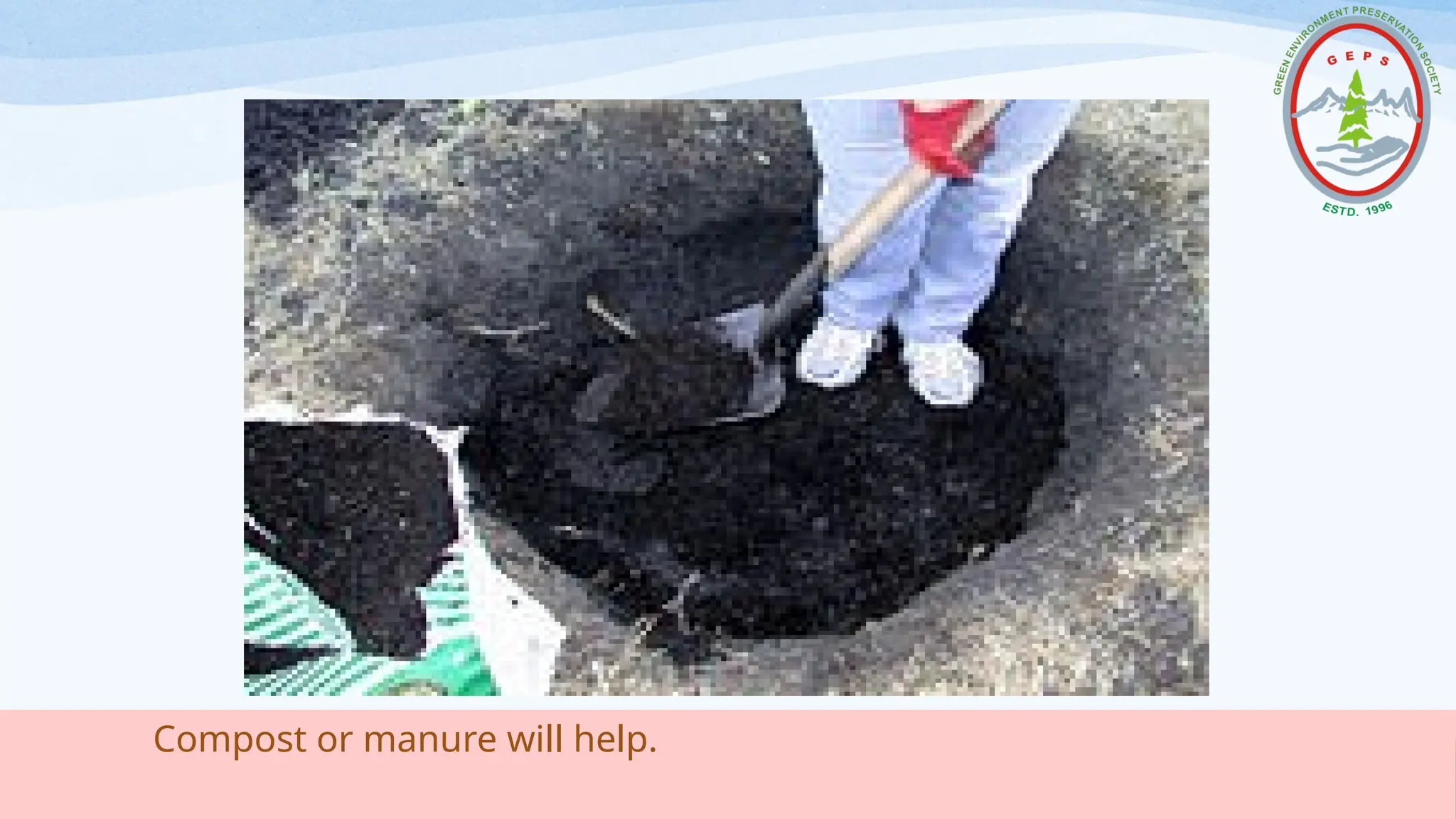 Compost or manure will help.
 