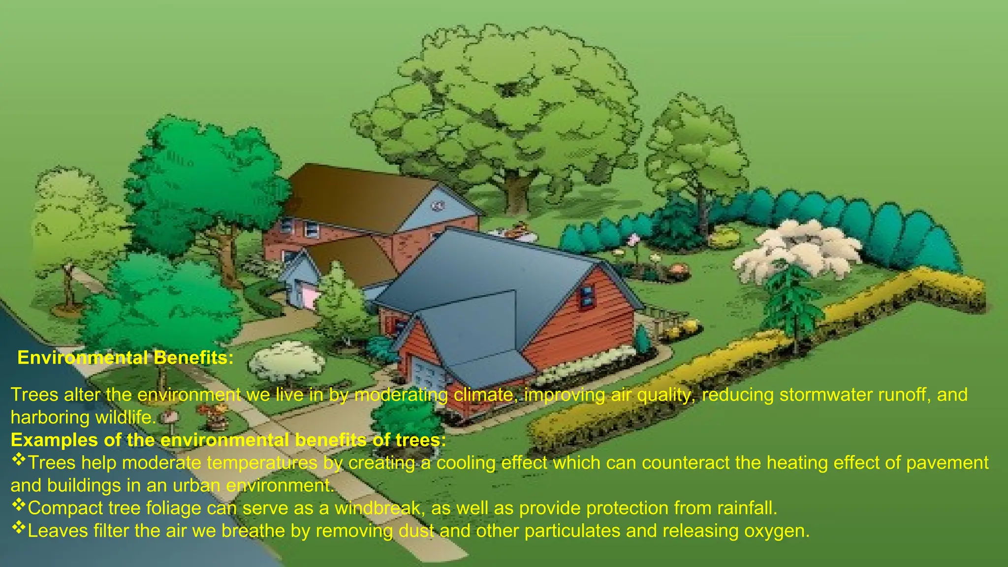 Trees alter the environment we live in by moderating climate, improving air quality, reducing stormwater runoff, and
harboring wildlife.
Examples of the environmental benefits of trees:
Trees help moderate temperatures by creating a cooling effect which can counteract the heating effect of pavement
and buildings in an urban environment.
Compact tree foliage can serve as a windbreak, as well as provide protection from rainfall.
Leaves filter the air we breathe by removing dust and other particulates and releasing oxygen.
Environmental Benefits:
 