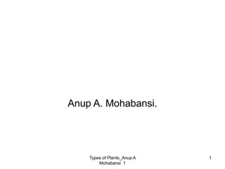 Types of Plants_Anup A
Mohabansi 1
1
Classification of Different types of
Plant & Machinery & machine in
each type
Anup A. Mohabansi.
 