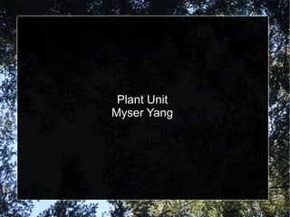Plant Unit Myser Yang 