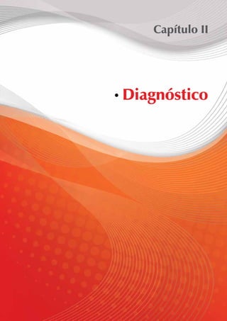 Capítulo II 
Diagnóstico 
 