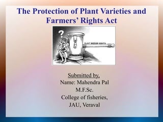 The Protection of Plant Varieties and
Farmers’ Rights Act
Submitted by,
Name: Mahendra Pal
M.F.Sc.
College of fisheries,
JAU, Veraval
 