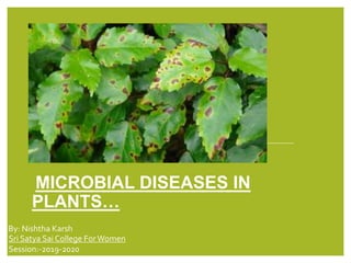 MICROBIAL DISEASES IN
PLANTS…
By: Nishtha Karsh
Sri Satya Sai College ForWomen
Session:-2019-2020
 