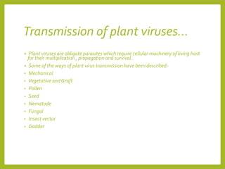 Plant virology 