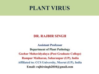 PLANT VIRUS
DR. RAJBIR SINGH
Assistant Professor
Department of Plant Pathology
Gochar Mahavidyalaya (Post Graduate College)
Rampur Maiharan, Saharanpur (UP), India
Affiliated to: CCS University, Meerut (UP), India
Email: rajbirsingh2810@gmail.com
 