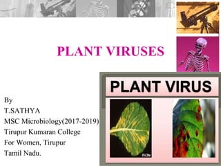 PLANT VIRUSES
By
T.SATHYA
MSC Microbiology(2017-2019)
Tirupur Kumaran College
For Women, Tirupur
Tamil Nadu.
 