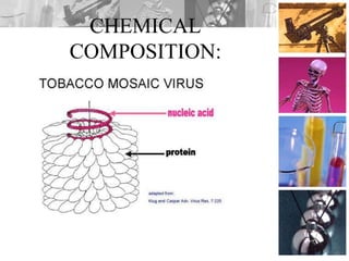 CHEMICAL
COMPOSITION:
 