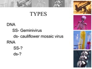 TYPES
DNA
SS- Geminivirus
ds- cauliflower mosaic virus
RNA
SS-?
ds-?
 