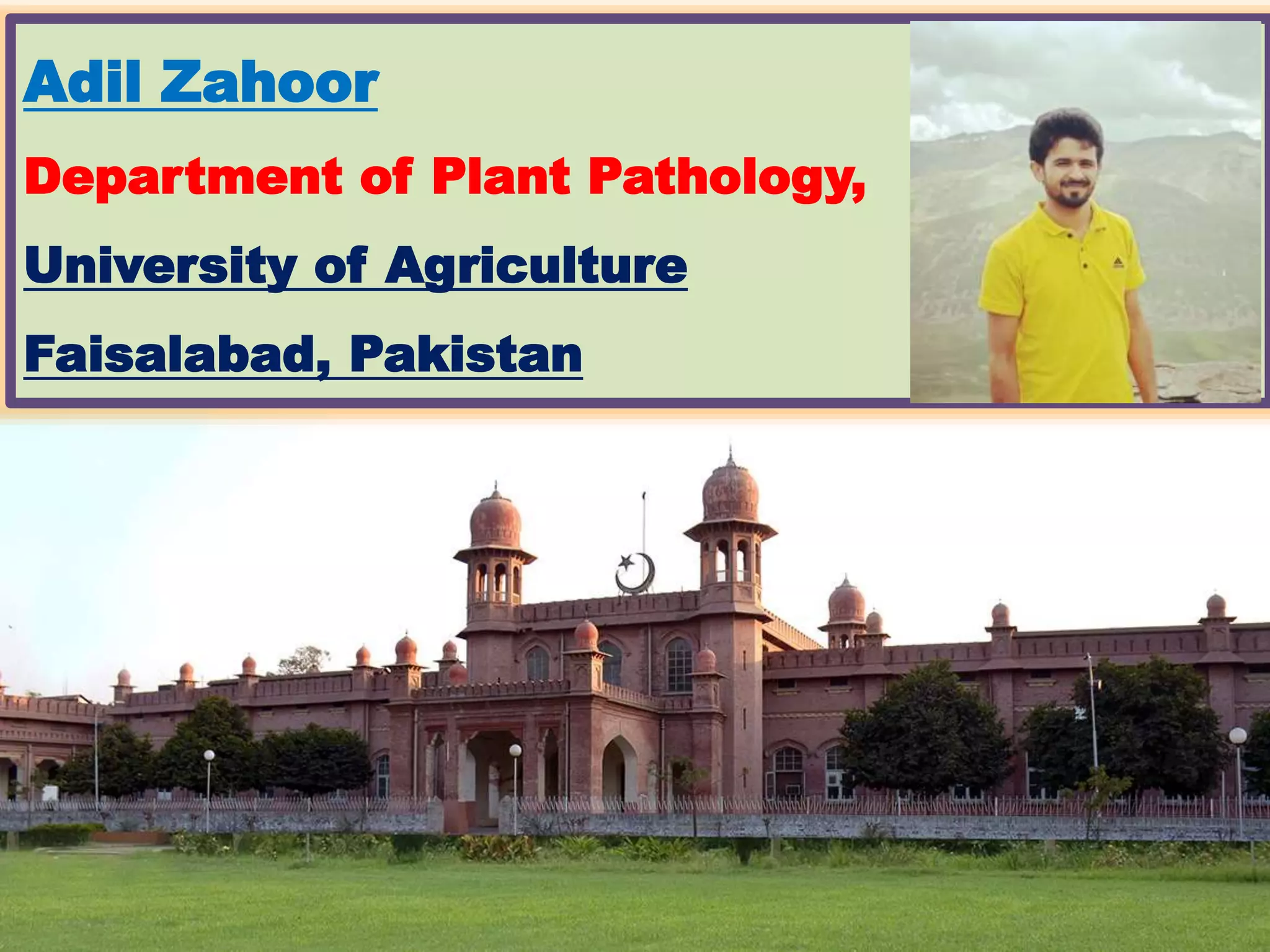 Plant viruses transmission through seed, sap and vegetative propagation ...