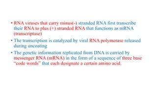 • RNA viruses that carry minus(-) stranded RNA first transcribe
their RNA to plus (+) stranded RNA that functions as mRNA
(transcriptase)
• The transcription is catalyzed by viral RNA polymerase released
during uncoating
• The genetic information replicated from DNA is carried by
messenger RNA (mRNA) in the form of a sequence of three base
“code words” that each designate a certain amino acid.
 