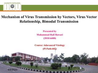 Mechanism of Virus Transmission by Vectors, Virus Vector
Relationship, Bimodal Transmission
Presented by
Muhammad Rafi Bawari
(2018A60D)
Course: Adavanced Virology
(Pl Path-602)
1
4/6/2023
 