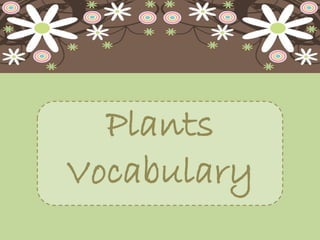 Plants
Vocabulary
 