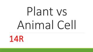 Plant vs 
Animal Cell 
14R 
 