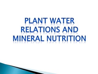 Plant water relation and mineral nutrition