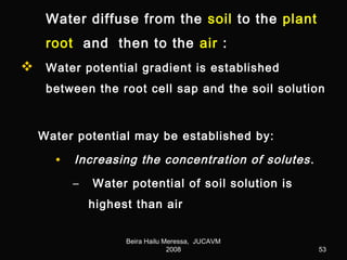 Plant water relations | PPT