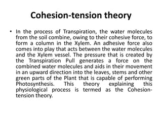 plant water relation, transpiration, root pressure and transpirational pull.pptx