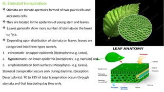 plant water reletionplant water rel.pptx